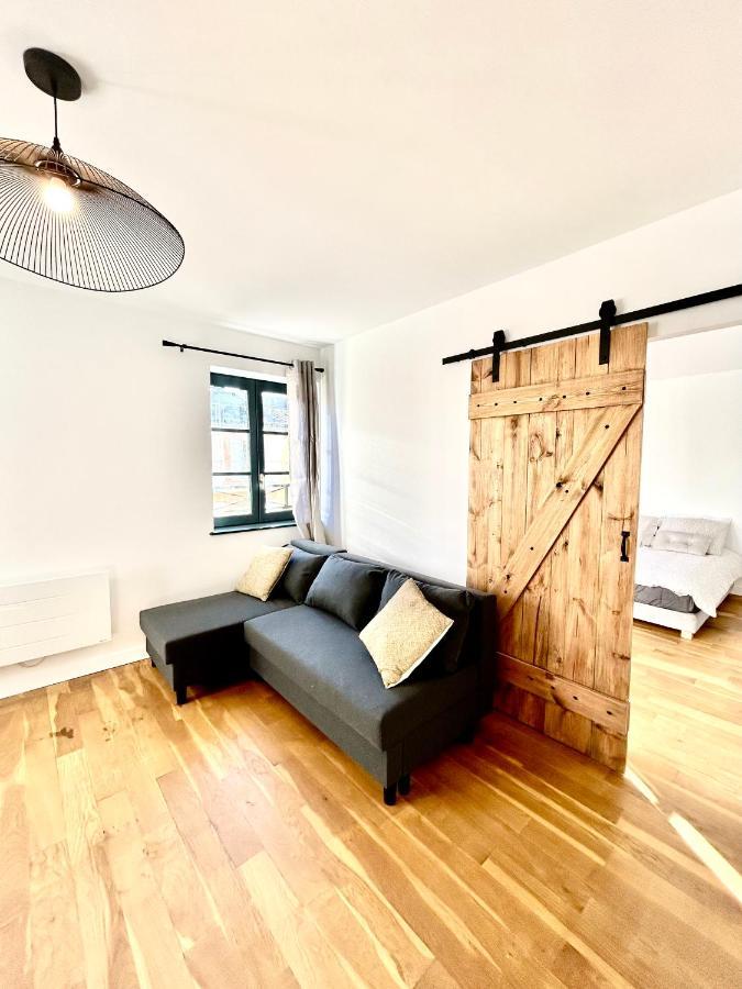 Apartmán Le Beau Briand Proche Gare Parking Facile Montauban Exteriér fotografie